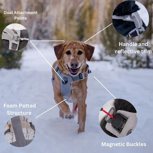 Magnetic No Pull Dog Harness, One Hand Clip