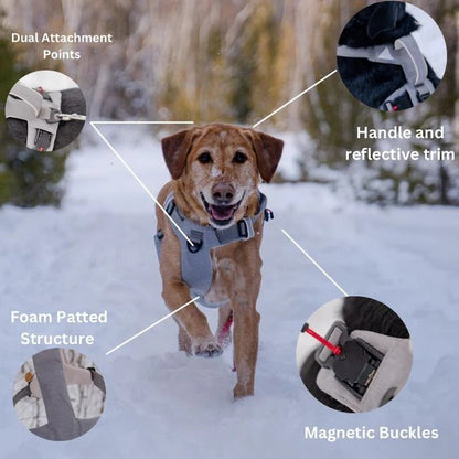 Magnetic No Pull Dog Harness, One Hand Clip