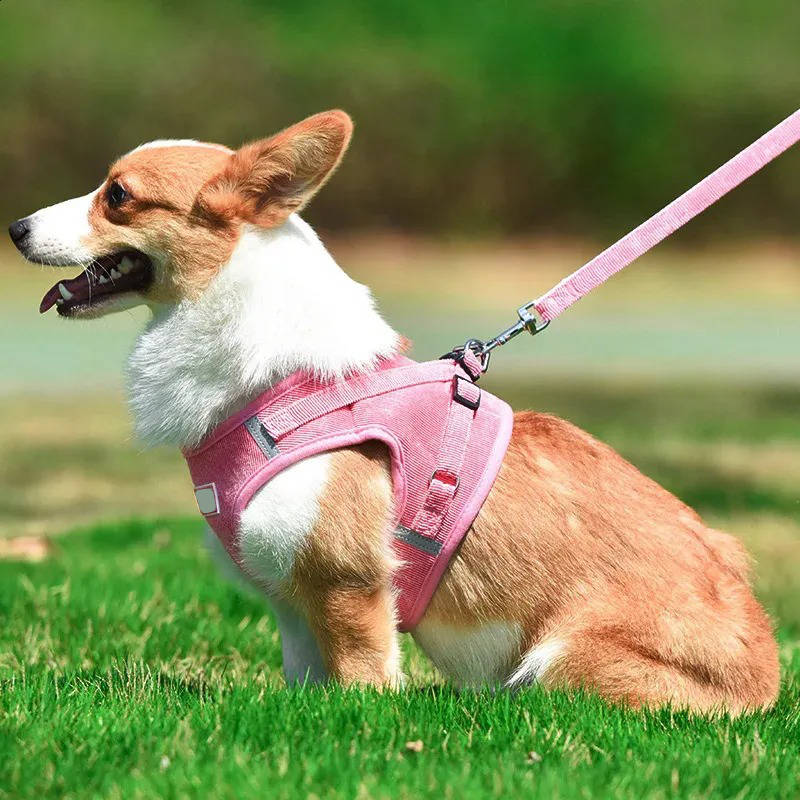Reflective Corduroy Dog Harness & Leash Set