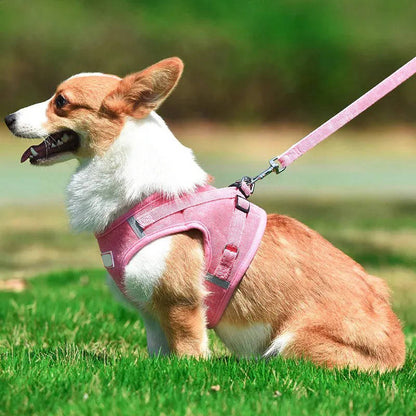 Reflective Corduroy Dog Harness & Leash Set