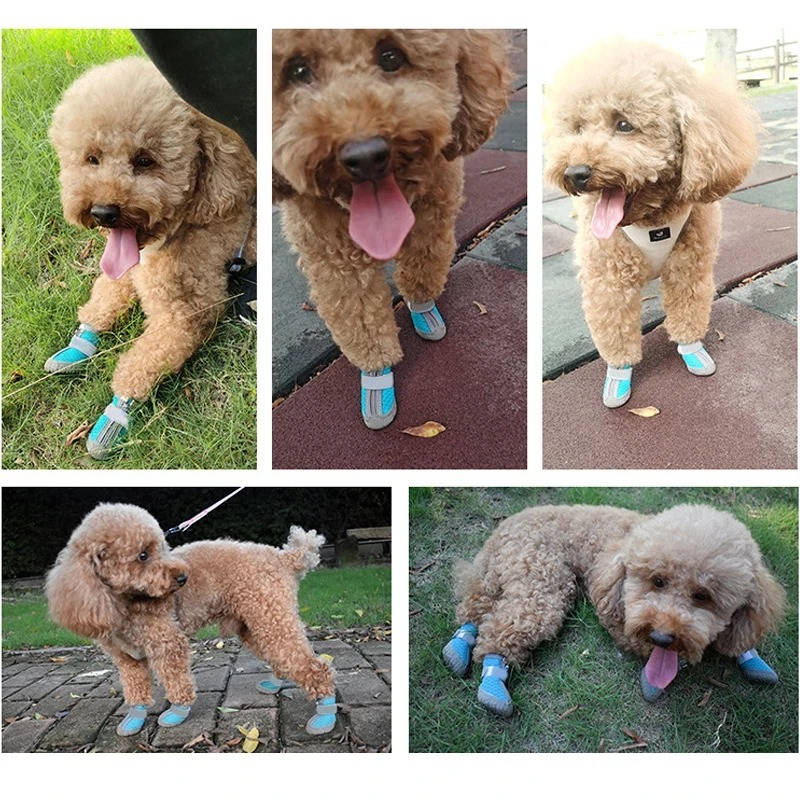 Anti-Slip Dog Shoes