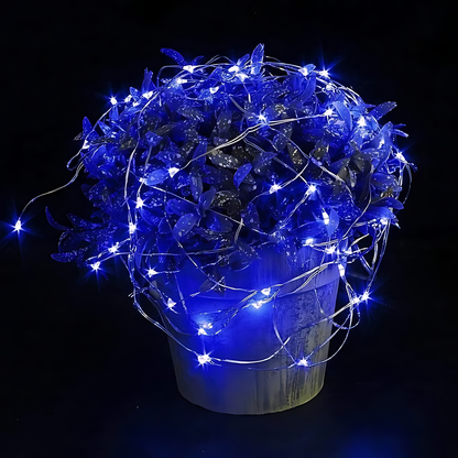 100 Mini LED Fairy String Lights, Waterproof