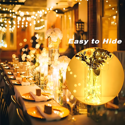 100 Mini LED Fairy String Lights, Waterproof