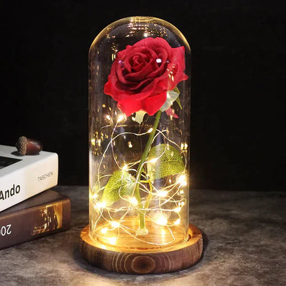 Preserved Rose with LED Glass Dome Display