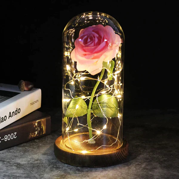 Preserved Rose with LED Glass Dome Display