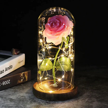 Preserved Rose with LED Glass Dome Display