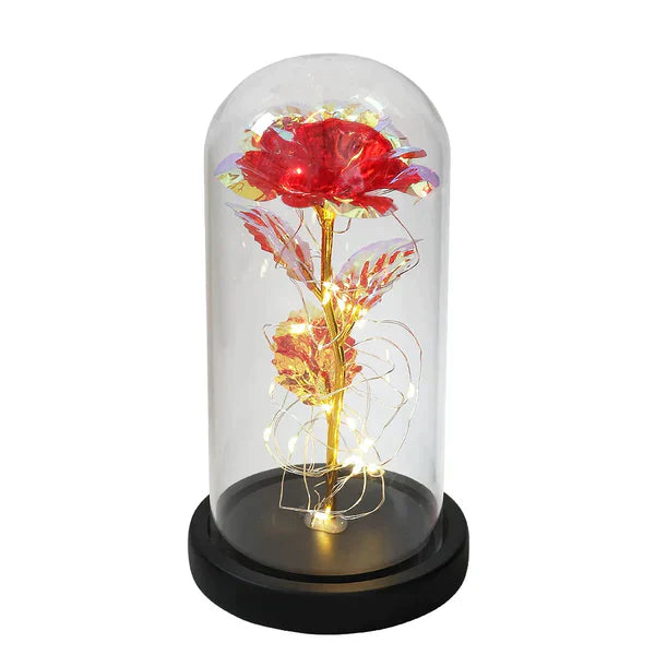 Preserved Rose with LED Glass Dome Display