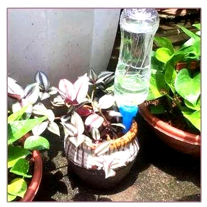 Plant Watering Spikes with Flow Valve, 12-Pack