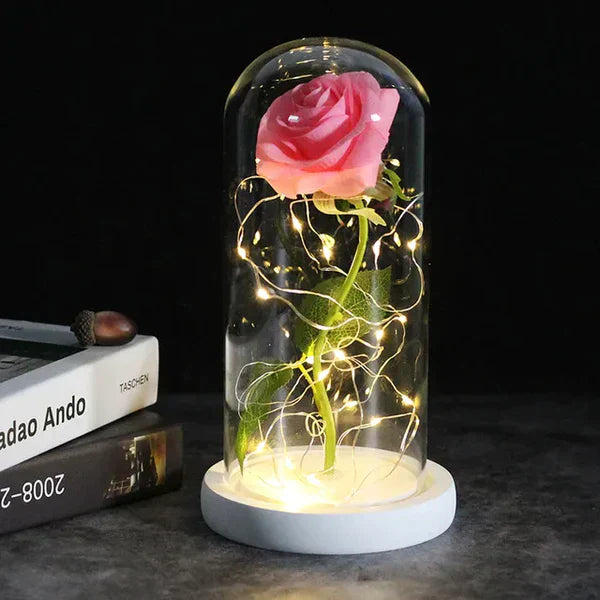 Preserved Rose with LED Glass Dome Display