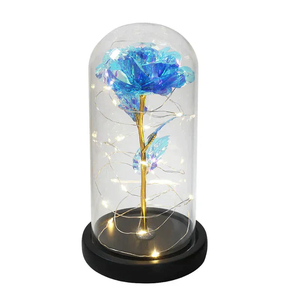 Preserved Rose with LED Glass Dome Display