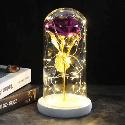Preserved Rose with LED Glass Dome Display