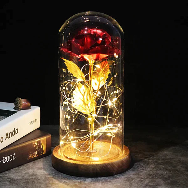 Preserved Rose with LED Glass Dome Display