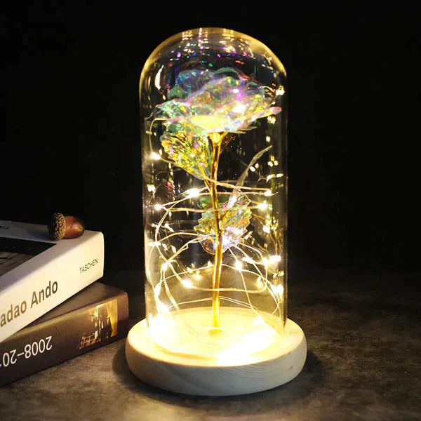 Preserved Rose with LED Glass Dome Display