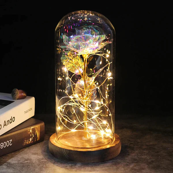 Preserved Rose with LED Glass Dome Display