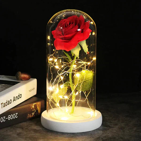 Preserved Rose with LED Glass Dome Display