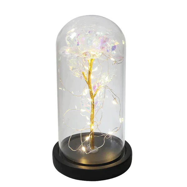 Preserved Rose with LED Glass Dome Display