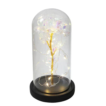 Preserved Rose with LED Glass Dome Display