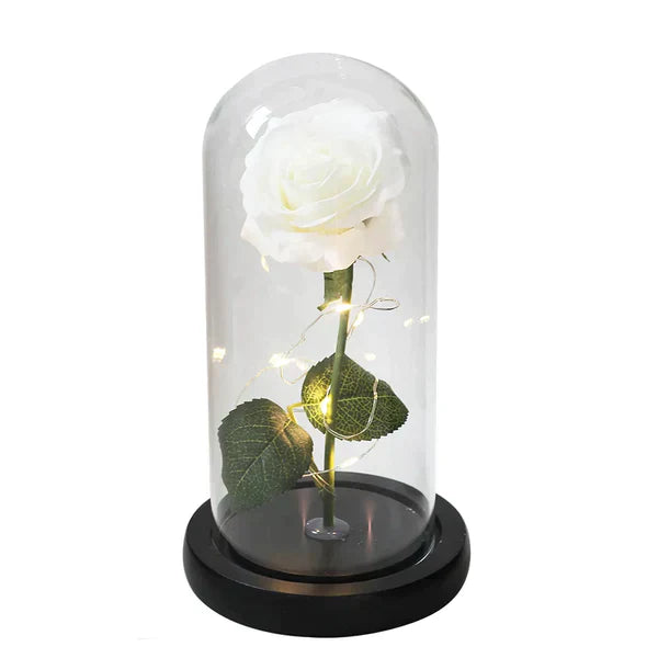 Preserved Rose with LED Glass Dome Display