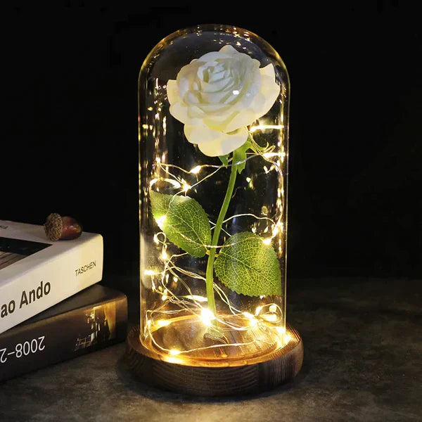 Preserved Rose with LED Glass Dome Display