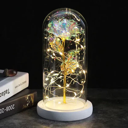 Preserved Rose with LED Glass Dome Display