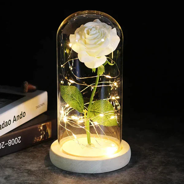 Preserved Rose with LED Glass Dome Display