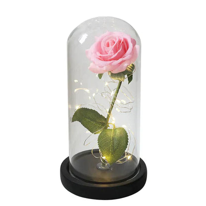 Preserved Rose with LED Glass Dome Display